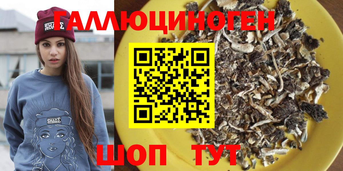 Ангарск  Галлюциногенные грибы Psilocybe  Вход с VPN 